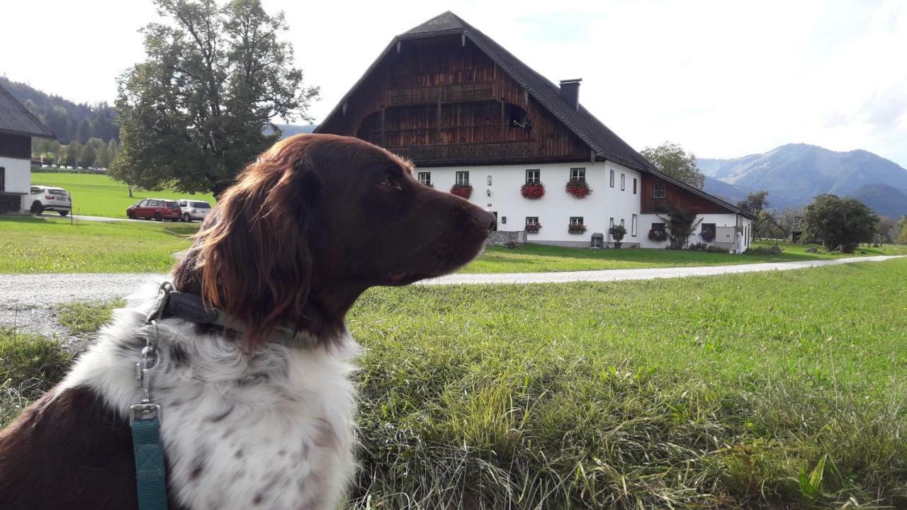 Pilznerhof *